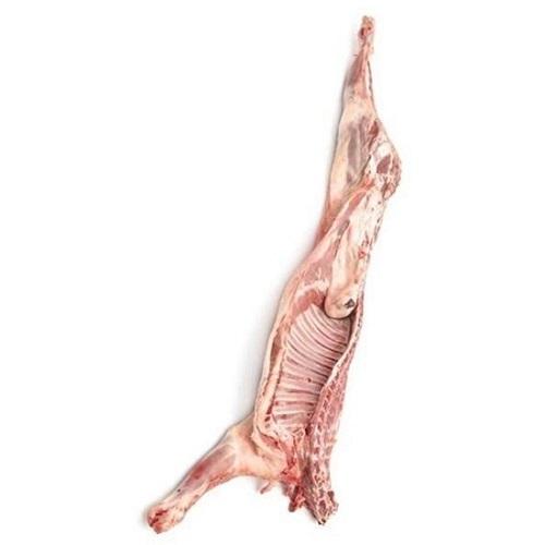Chilled Half Arabian Lamb from7to8Kg Approximately
