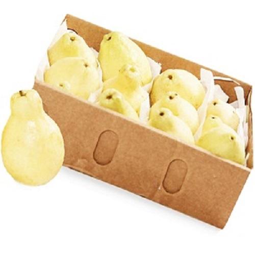 Fresh Egyptian Guava Box 1.8Kg Approximately