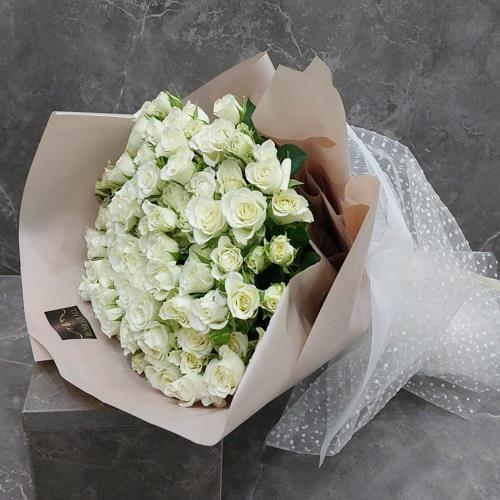 سنو فليك 20
