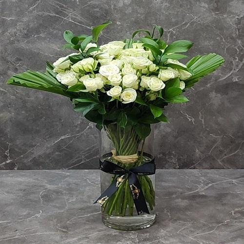 الفازه البيضاء