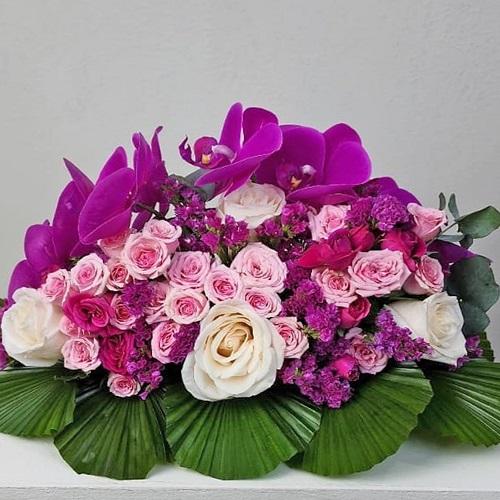سنتربيس3