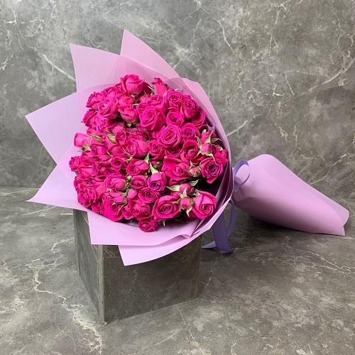 دارك بينك
