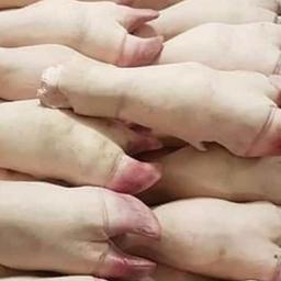 كوارع عجل كويتي 1حبة