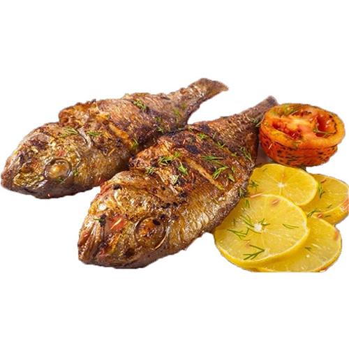 سمك مرجان 1كجم