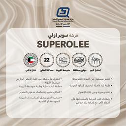 Super Olee Medical Mattress 200x180x22cm
