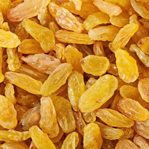 زبيب