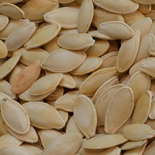 Unsalted White Seeds