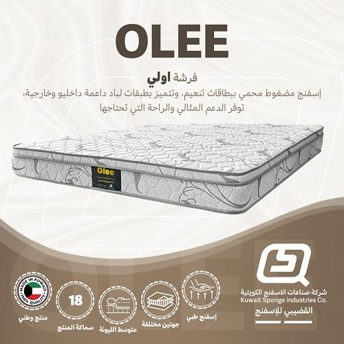 Olee Medical Mattress 200x160x18cm