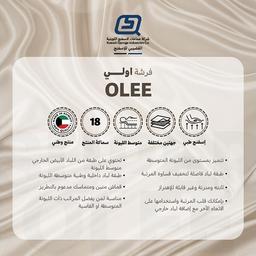 Olee Medical Mattress 200x200x18cm