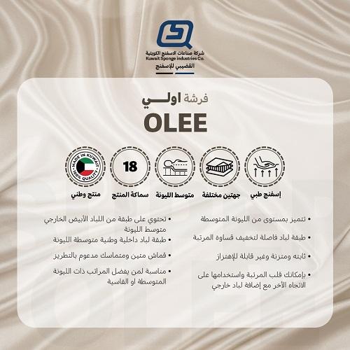 Olee Medical Mattress 200x200x18cm