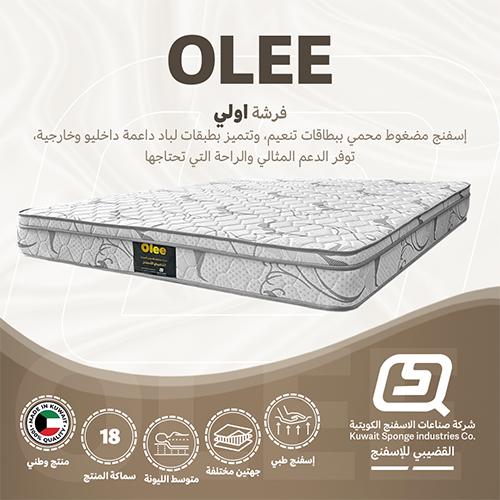Olee Medical Mattress 200x140x18cm