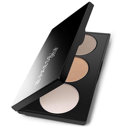 Paese Cosmetics Artist Contour Palette No.04