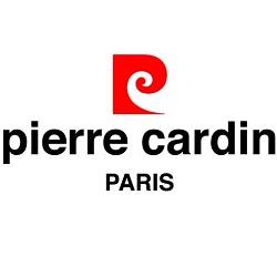 PierreCardinParis profil picture