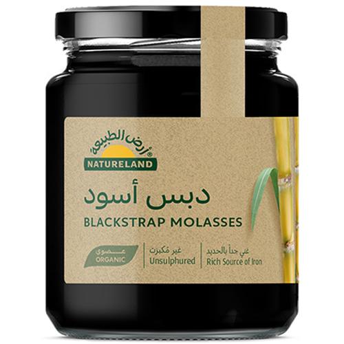 ارض الطبيعة دبس اسود عضوي 550جم
