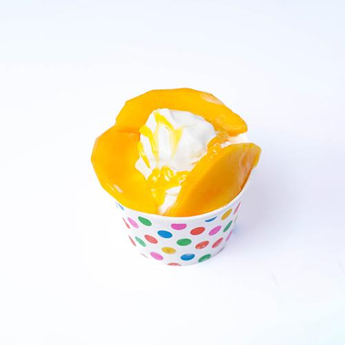 Ice Cream Mango Slices