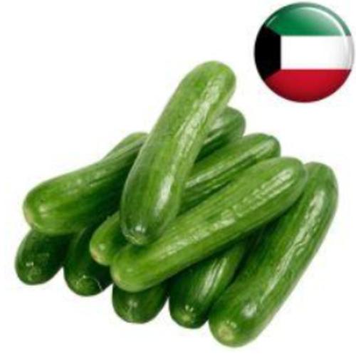 خيار كويتي 1كجم