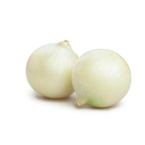 White Spanish Onion 1kg