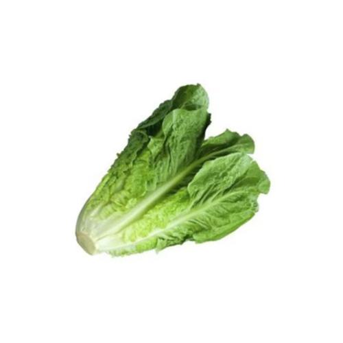 خس رومان اردني 1كجم