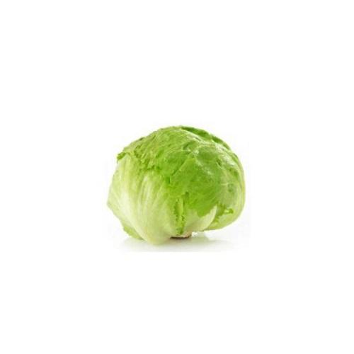 خس ايسبيرج اردنى 1كجم