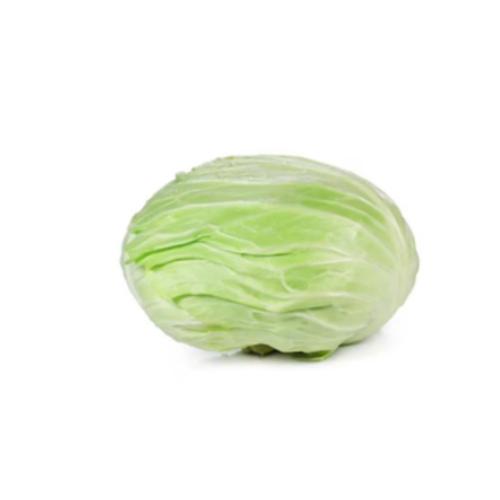 ملفوف ابيض اردني 1حبه