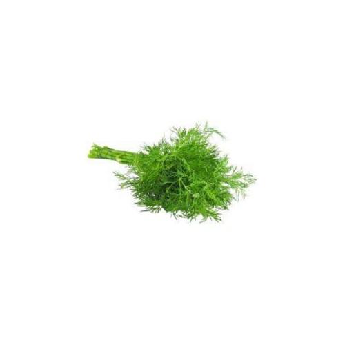 اعشاب شبت كويتى 1حزمة