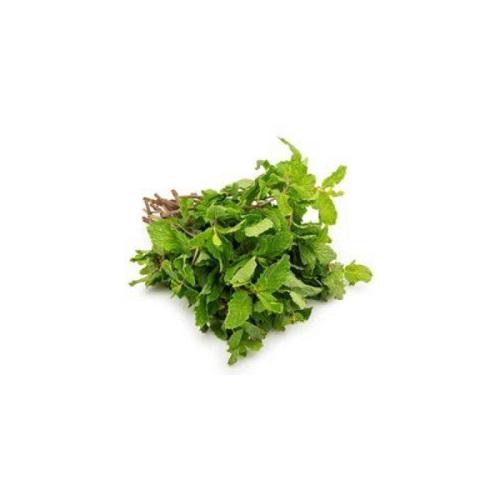 اعشاب نعناع كويتى 1حزمة