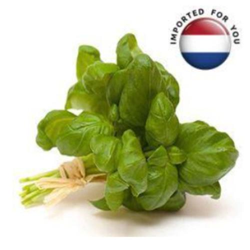 ريحان هولندى 100جم