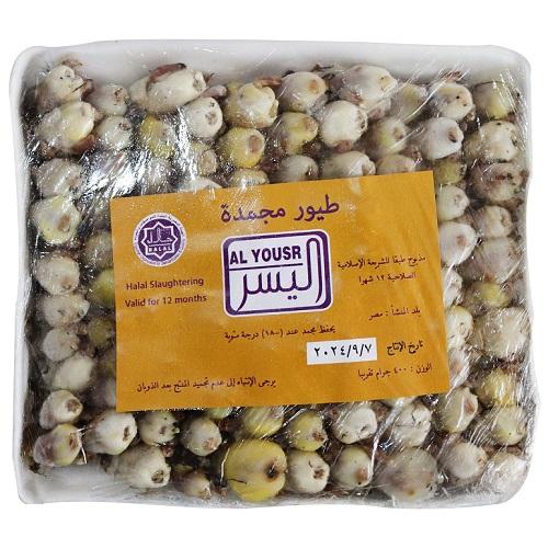اليسر طيور مجمدة 100حبة 400جم