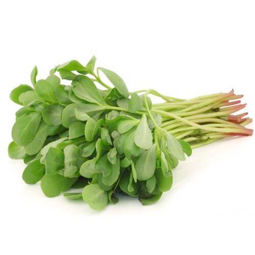 Fresh Kuwaiti BBQ Medium Bond