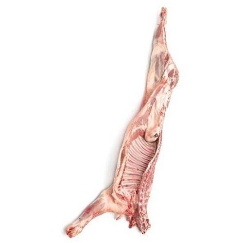 Chilled Half Arabian Lamb from7to8Kg Approximately