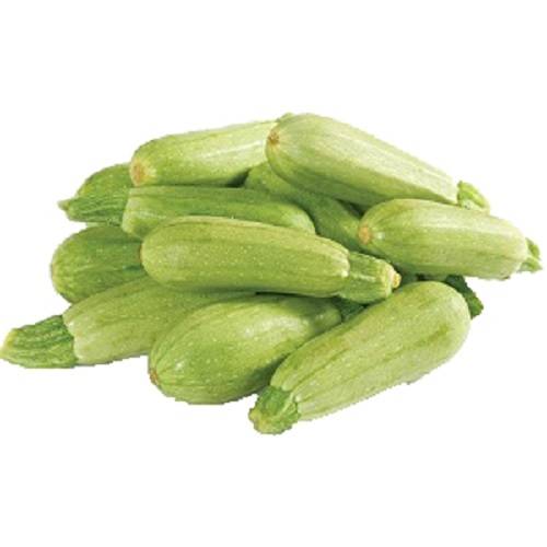 كوسه اردني طازج 1كجم