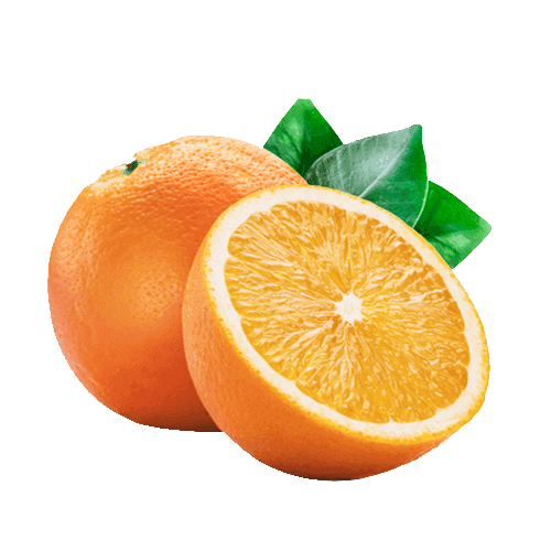 South African Fresh Orange 1kg