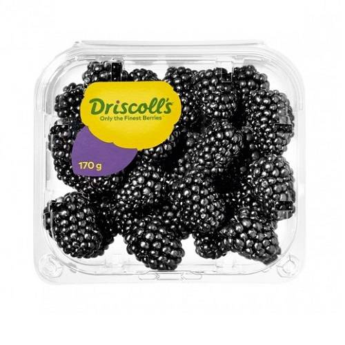 Driscolls Fresh Blackberries 170g